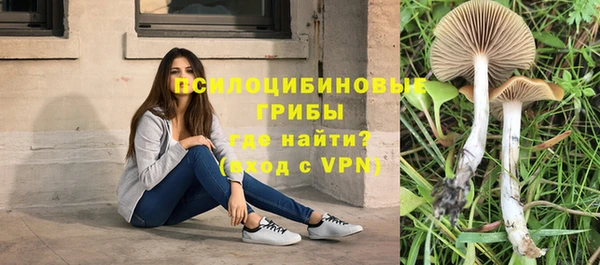 спайс Алексеевка