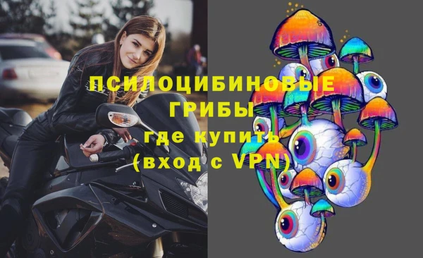 гидропоника Абинск