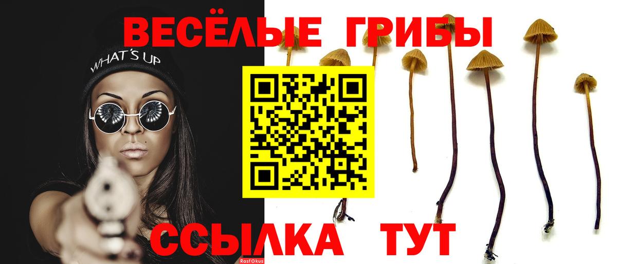 Псилоцибиновые грибы прущие грибы Череповец